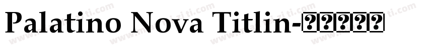 Palatino Nova Titlin字体转换